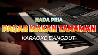 PAGAR MAKAN TANAMAN - NADA STANDAR PRIA - KARAOKE DANGDUT - HQ AUDIO