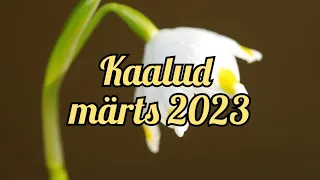 ♎️ Kaalud. Märts 2023