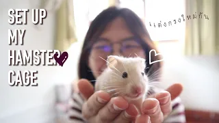 แต่งกรงใหม่ให้แฮมสเตอร์ | setting up my hamster cage