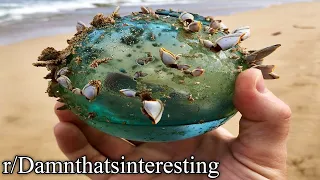 r/Damnthatsinteresting | orb of the ocean