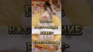 С добрым утром всем!Прекрасного денёчка!!!