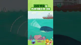 고래 살려!!! 먹이인 줄 알고 먹었는데... 전부 쓰레기라니!ㅣ1분 환경 지킴이ㅣ파니파니 환경 애니메이션ㅣKBS 방송