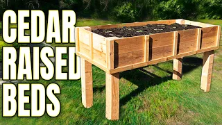 The SECRET to DIY Cedar Raised Garden Beds