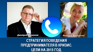 1. Стратегия поведения предпринимателя в кризис. Цели на 2015 год.