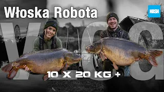 Włoska Robota - czyli 10 karpi ponad 20kg! VLOG - Karol Wiśniewski