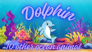 Animated educational video for childrens about ocean animals (Dolphin with Subtitles)