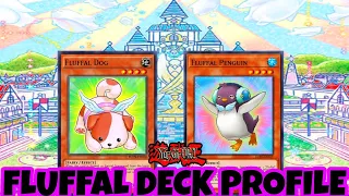 COMPETITIVE - FLUFFAL : DECK PROFILE + COMBO TUTORIAL / TEST HANDS  (DECEMBER POST AGOV )