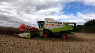 Claas Lexion 570 Harvest 2019