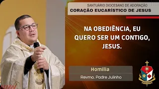 JESUS EU QUERO TE AMAR COM TODO O MEU CORAÇÃO | Padre Julinho - Homilia | Santuário CEJ