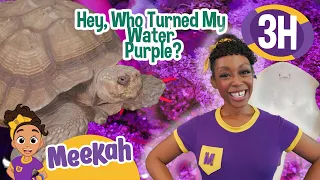 Meekah's Animal Friends | Blippi and Meekah Best Friend Adventures | Educational Videos for Kids