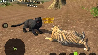 Black Panther 🐆 Vs Tiger 🐯 Simulation
