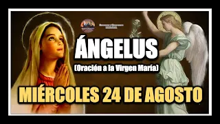 ÁNGELUS: COMO REZAR EL ÁNGELUS - ORACION A LA VIRGEN MARÍA: MIÉRCOLES 24 DE AGOSTO DE 2022.