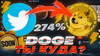 Обзор Dogecoin. Собака Илона Маска сорвалась с цепи! Стоит ли покупать Догикойн?