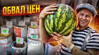 September afternoon. Price collapse. Odessa Market. Watermelon Giant 20 kg