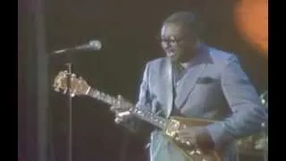 ALBERT KING Live - Kansas City