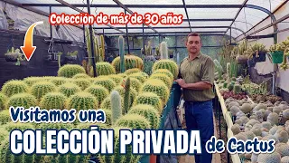 TOUR POR EL JARDIN DE UN COLECCIONISTA DE CACTUS. ING. FRANCISCO BAÑOS