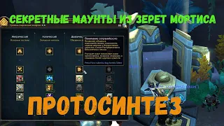 Протосинтез - Секретные маунты из Зерет Мортиса в World of Warcraft 9.2 «Конец Вечности»