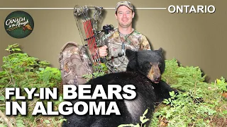 Fly-In Black Bear Hunting in Ontario  | Canada in the Rough