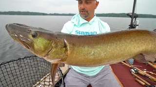 Topwater Fishing For BIG Flowage Muskies!!