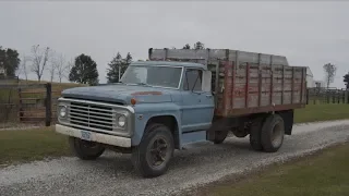 1967 Ford 600 Stock Truck Hauling Corn