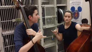 MHS Orchestra Mannequin Challenge #2