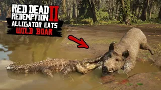 ALLIGATOR EATS Wild BOAR (ULTRA RARE) in Red Dead Redemption 2 PC 4K