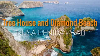 Tree house and Diamond beach - Nusa Penida BALI