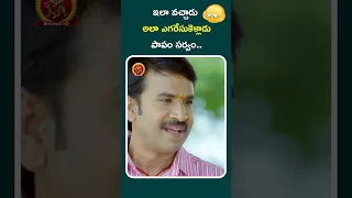 #jayammunischayammuraa #srinivasreddy #sreevishnu #poorna #bhavanihdmovies #telugushorts