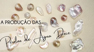 Conheça Como São Produzidas as Pérolas de Água Doce