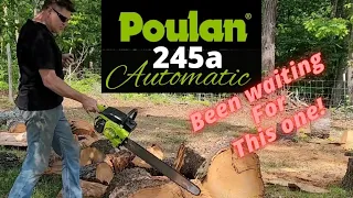 Poulan 245a Leatherface saw initial thoughts!