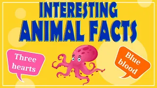 Interesting Animal Facts: We Bet You Didn’t Know! | Animal Facts for Kids
