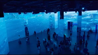 The Art of "Avatar: The Way of Water" - An Immersive Experience