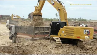 Caterpillar 336 Excavator Loading Trucks | HYUNDIA Dump Truck , CAT 336 Excavator