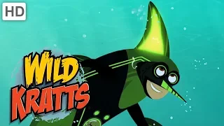 Wild Kratts 🐬🦈🐙 Creature Powers in the Ocean! | Kids Videos