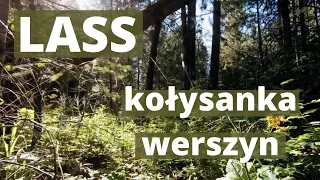 Lass - Łąki Łan (cover) kołysanka werszyn