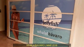 Вся правда о Whala!Bavaro