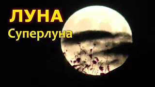 Луна. Суперлуна.