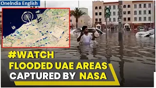 Dubai Floods: NASA posts pics of flooded UAE areas after 6 billion cubic metres of rain| Oneindia