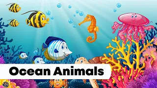 LEARN OCEAN ANIMAL NAMES | BELAJAR MENGENAL NAMA HEWAN LAUT BAHASA INDONESIA - INGGRIS | SEA ANIMAL