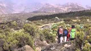 Kilimanjaro summit tour with friends, marangu route