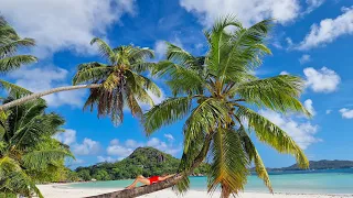 Seychelles - Mahe & Praslin islands 2023 🌴☀️🐠⛱🏖🐢