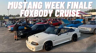 MUSTANG WEEK FINALE Foxbody Cruise and Final thoughts