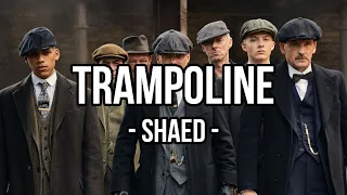 SHAED x ZAYN - Trampoline / Peaky Blinders