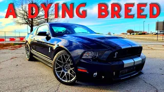 A DYING BREED! PROS & CONS of owning a S197 SHELBY GT500 & my 5 and a half year review