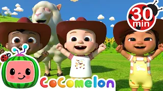 BaBa Black Sheep Play Pretend | Cocomelon - Nursery Rhymes | Spooky Halloween Stories For Kids