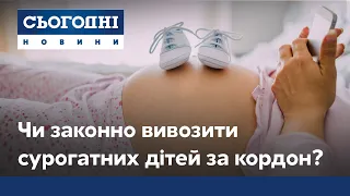 Суррогатные дети: законно ли их вывозить за границу и в каких условиях живут новорожденные?