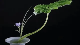插花藝術--固定和造型花枝，簡單，易學  ikebana #chahua #Flower Arrangement #Cắm hoa nghệ thuật