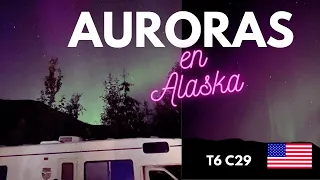 No vimos osos! 😌 pero si AURORAS!🥳🤯 Increíble espectáculo / Odisea Alaska