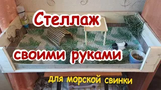 Стеллаж для морской свинки своими руками  Как сделать клетку для морской свинки  Клетка своими рукам