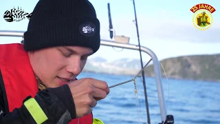 Das Suxxes Heilbutt-System! Mega Köderfischsystem für das gezielte Angeln in Norwegen auf Heilbutt!!